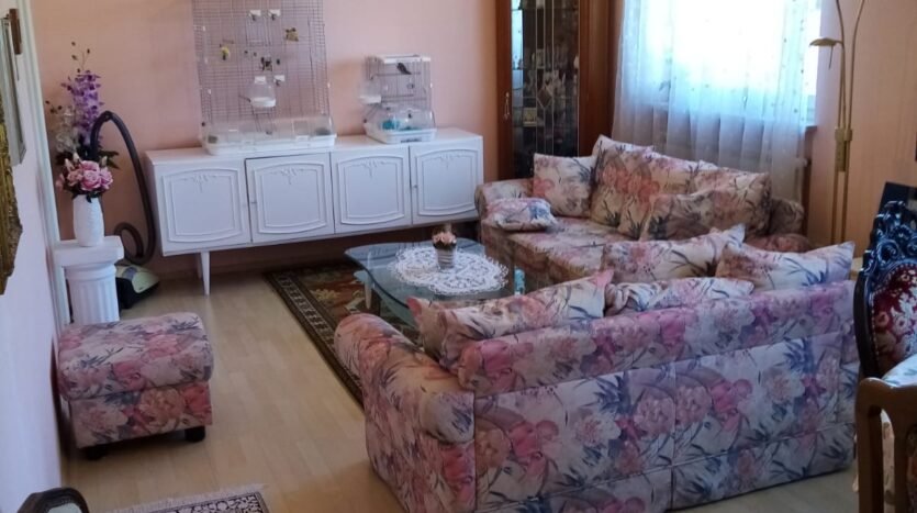 Trokut, obiteljska kuća s poslovnim prostorom, prodaja