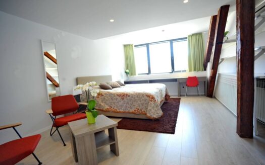 Ban Jelacic Square, apartment, rent