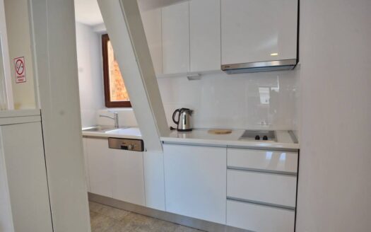 Ban Jelacic Square, apartment, rent