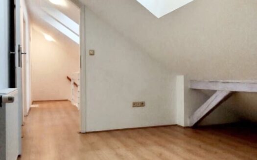 Baruna Trenka, duplex apartment 330m2, sale