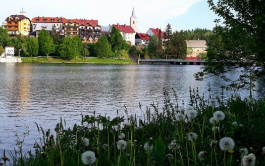 Fužine, building land 11000m2, sale