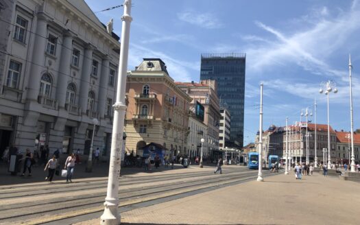 Street business premises, strict center, rent