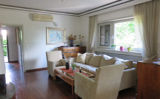 Zelengaj, luxury villa, pool, garage, sale