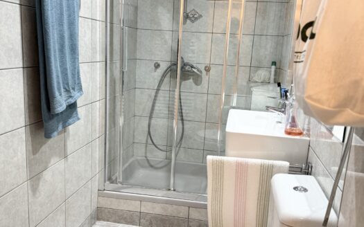 Opatija, luxury apartment 120m2, seafront, rent