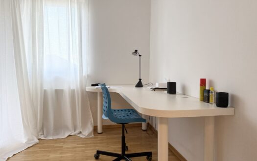 House with 4 apartments, garage, parking, near Petrova, sale