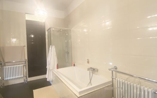 Strict center, luxury apartment 250m2, sale