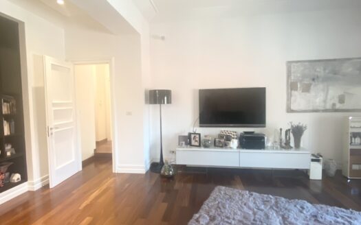 Luxury apartment 250m2, strict center, rent