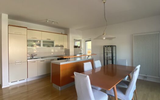 Šalata, apartment 150m2, garage, parking, rent