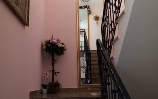 Trokut, family house with business premise, sale