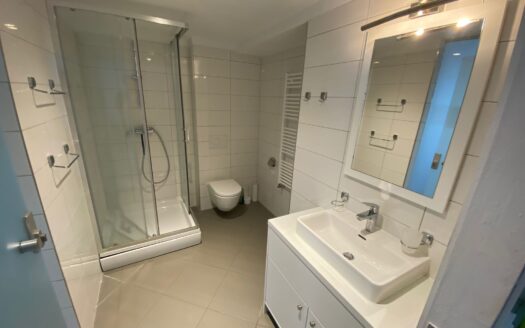 Ban Jelačić Square, two-room apartment, rent