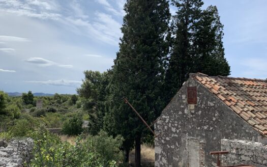 Šibenik, agricultural land 37000m2, sale