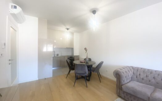 Domobranska, furnished 3-room apartment, garage, rent