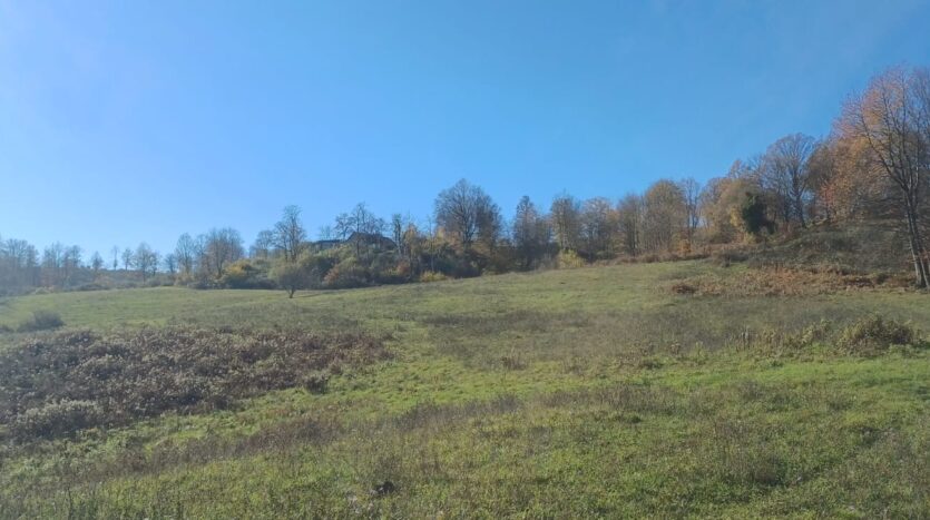 Agricultural Land for sale, Slunj surroundings, eco-tourism