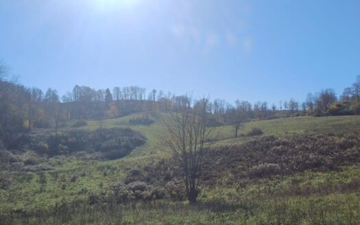 Croatia, Agricultural Land for Sale – Slunj Area