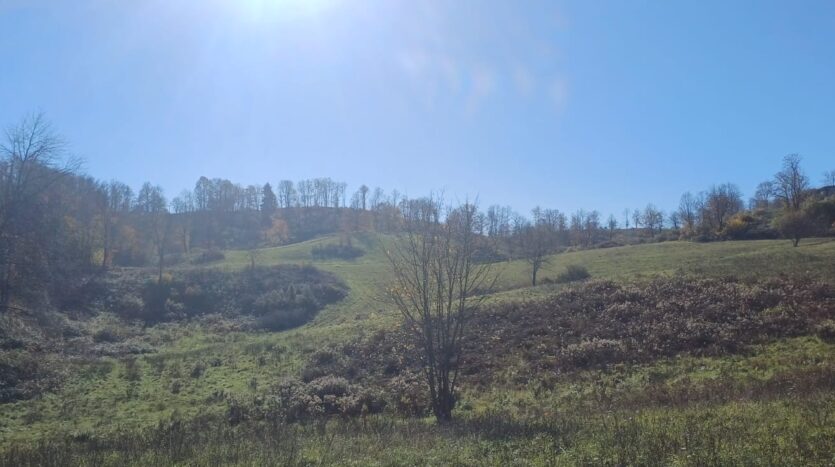 Agricultural Land for sale, Slunj surroundings - non refundable grants