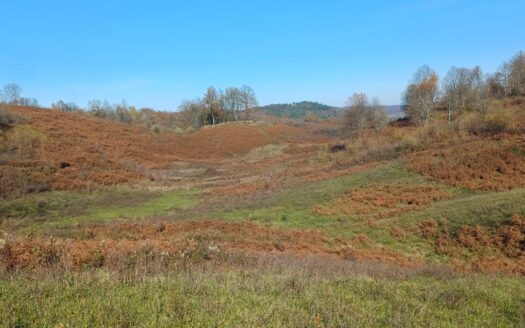 Croatia, Agricultural Land for Sale – Slunj Area