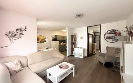 Three-room apartment near the new football stadium in Kranjčevićeva Street, rent